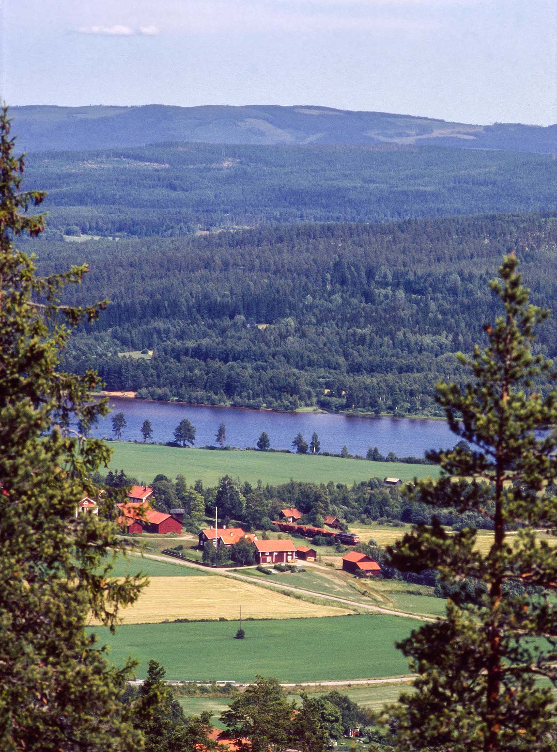 Ett godståg på väg söderut genom Ljusnans dalgång. Foto vid Järvsö 1992, Markus Tellerup.