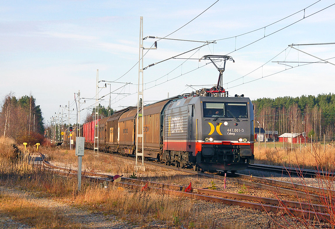 Hector Rails godståg Hallsberg-Piteå passerar banans enda mötesstation Arnemark i oktober 2007. Loket är ett flerströmslok av typen 441. Foto David Larsson.