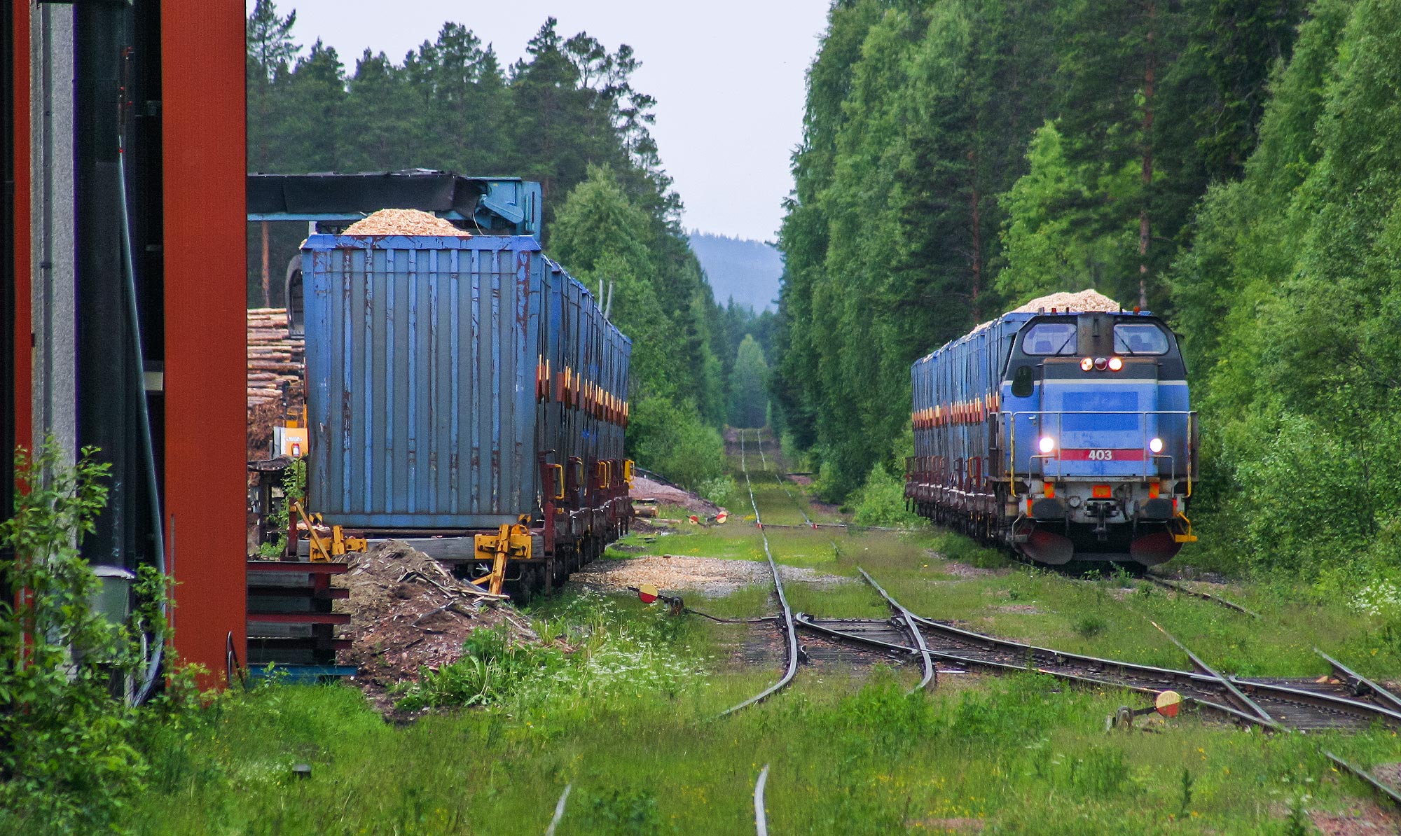 Bild: T44 403 med godståg i Blyberg 2003