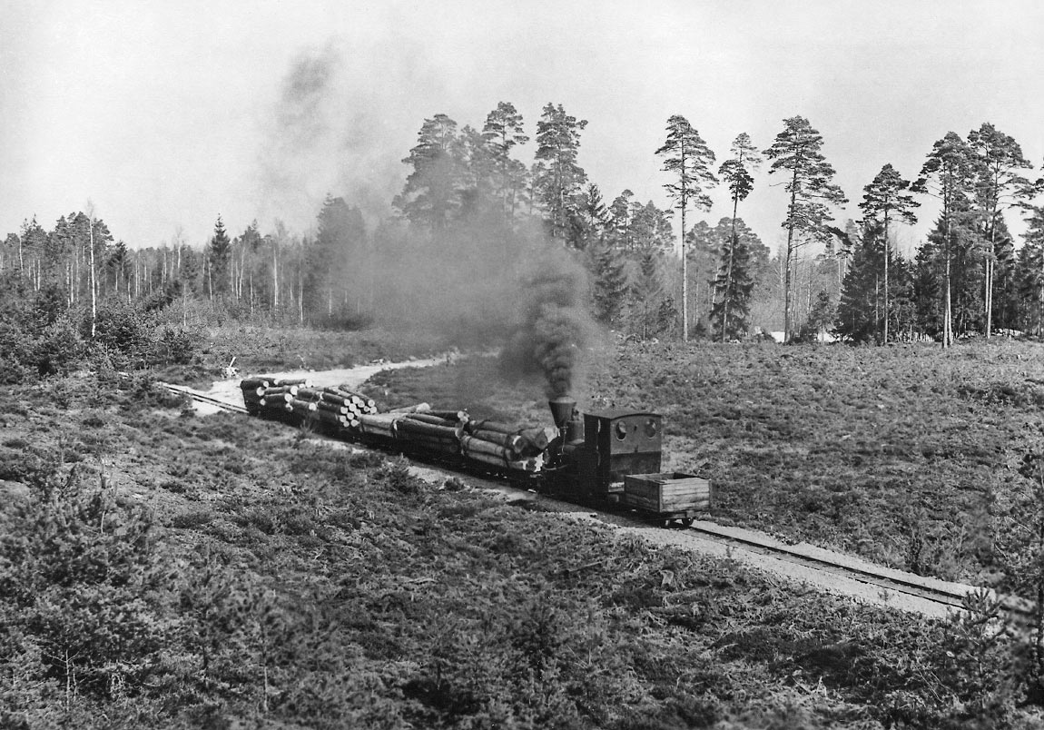 Bild: Domänverket Böda lok 1 Mormor med timmervagnar 1959