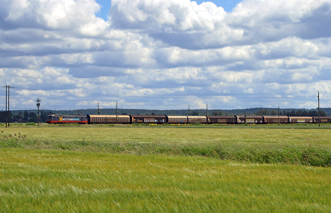 Ett av Hector Rails godståg rullar norrut över Närkeslätten mellan Hallsberg och Kumla 2007. Foto Markus Tellerup.