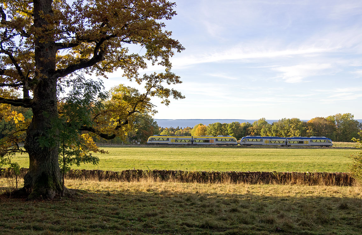 Vänern glimtar fram nedanför Kinnekulle där ett tåg bestående av två Y31-motorvagnar passerar. Foto nära Råbäck i oktober 2015, Markus Tellerup.
