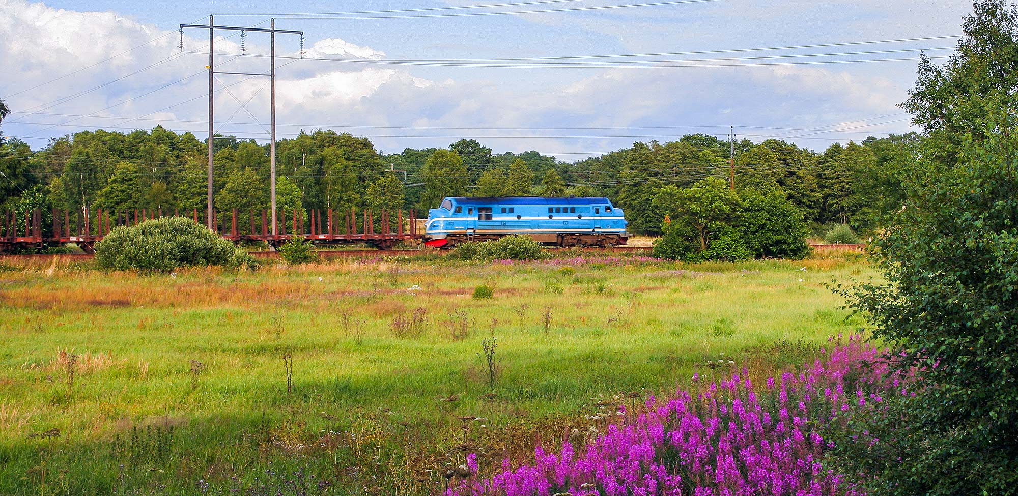 Bild: Ett TMX-lok med godståg utanför Hässleholm 18 juli 2005.