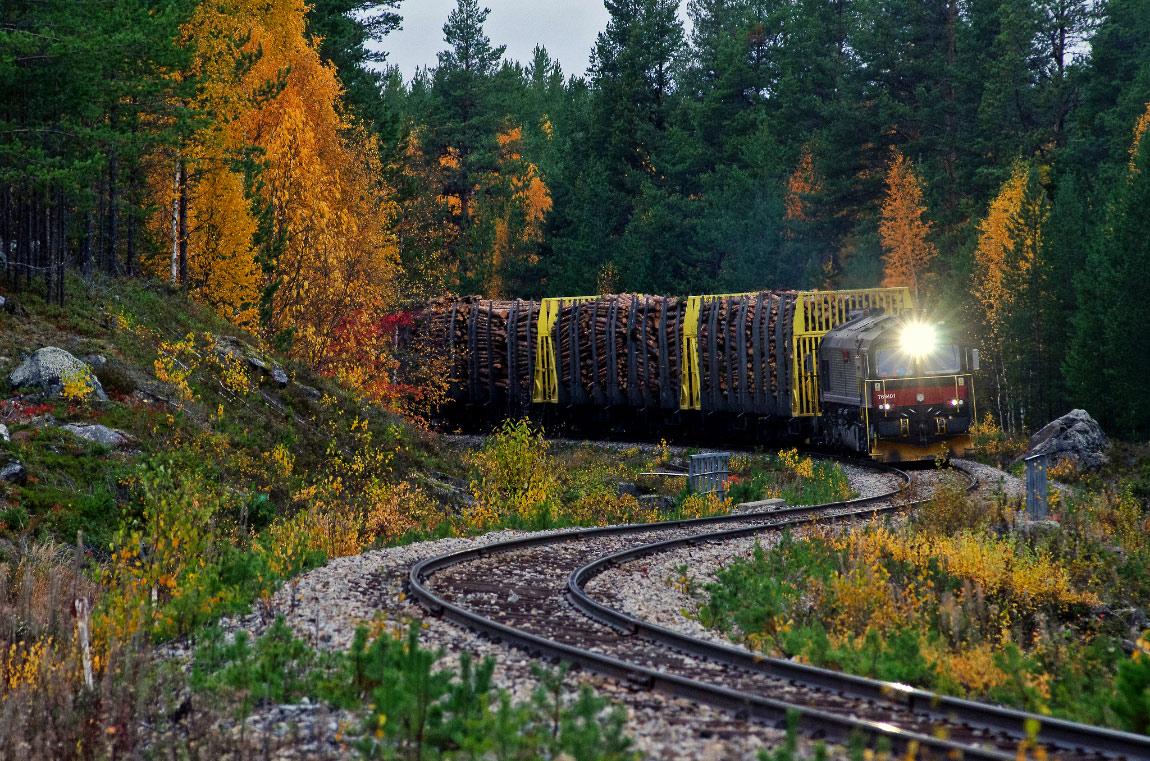 Bild: Hector Rails timmertåg utanför Lycksele i september 2021