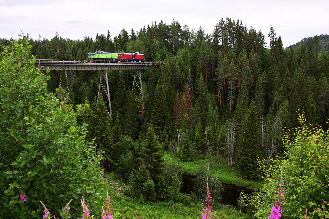 Bild: Två T43-lok passerar bron vid Röån 2011