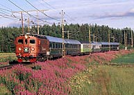 Bild: Da 15 med tåg vid Sävast
