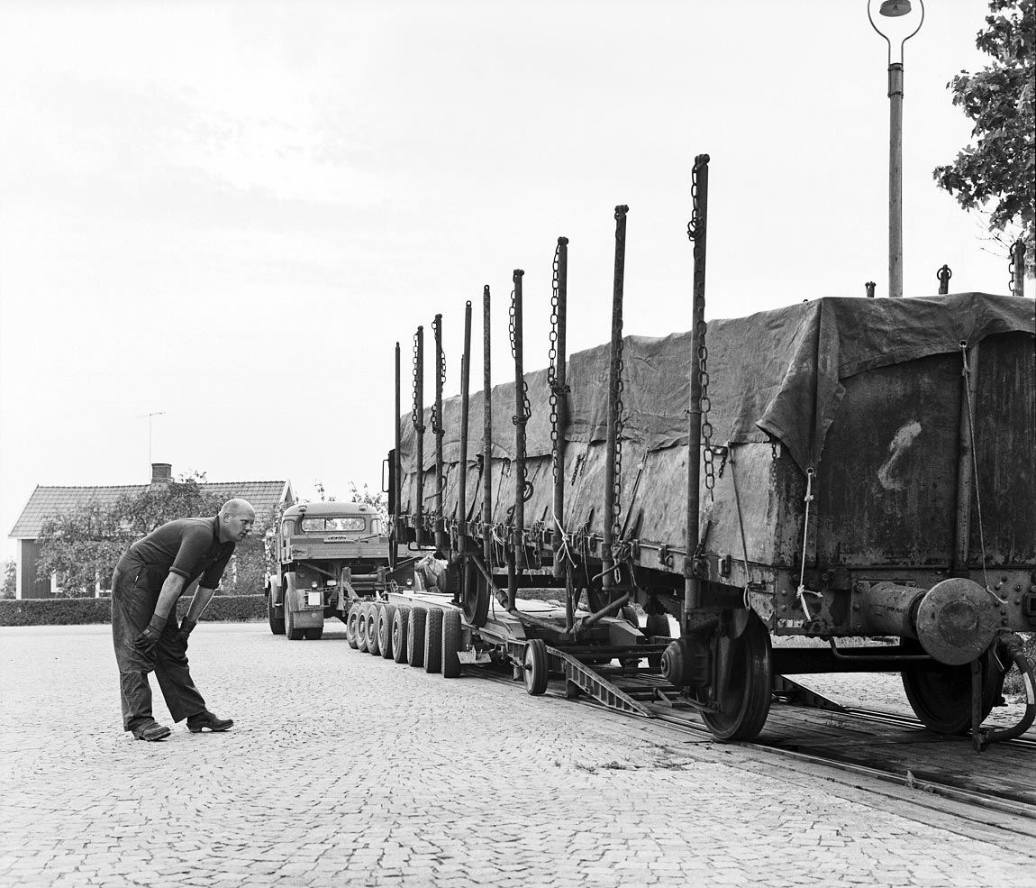 Bild: Vagnbjörn i Stubbemåla 1964