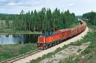 Bild: Godståg med T43 vid Sandsjönäs 1977