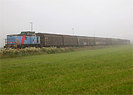 Bild: T44 med godståg nära Lilla Edet