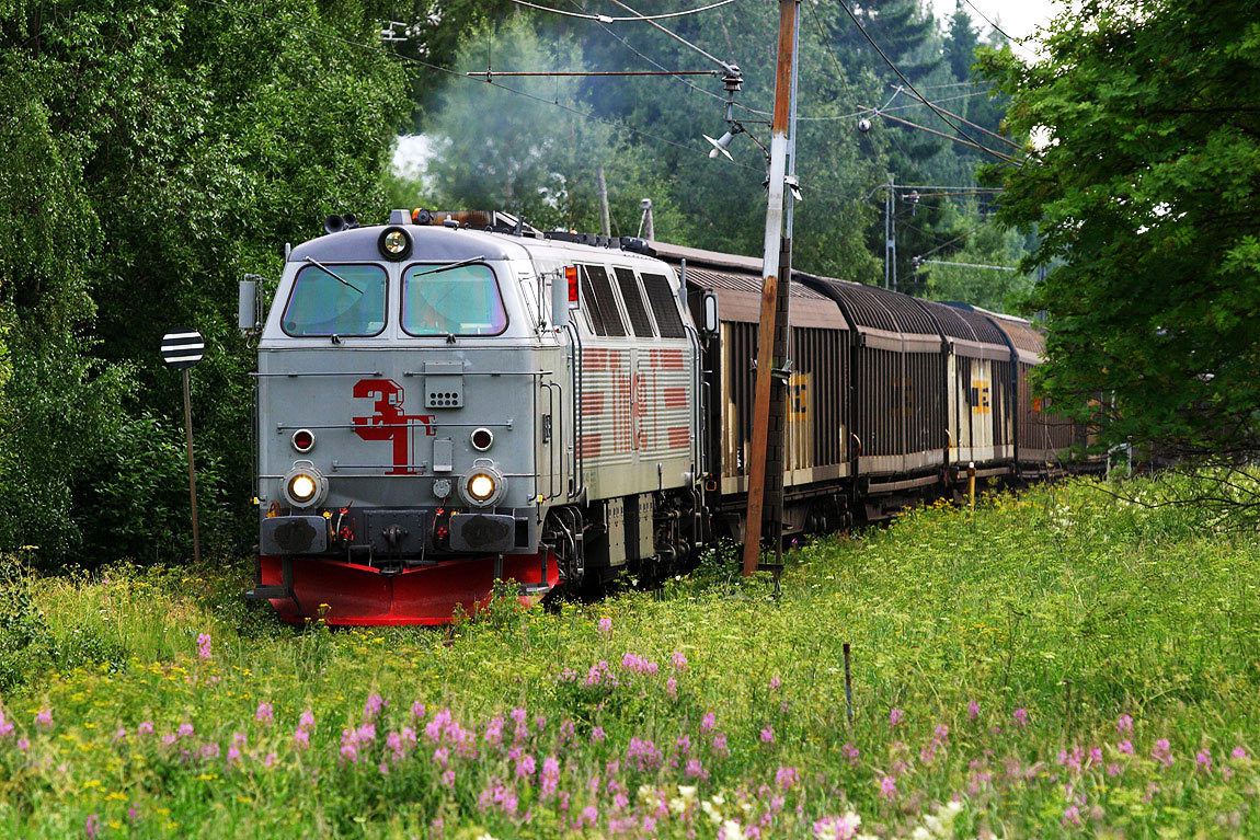 Bild: TMZ 1405 med godståg i Nyland 2005