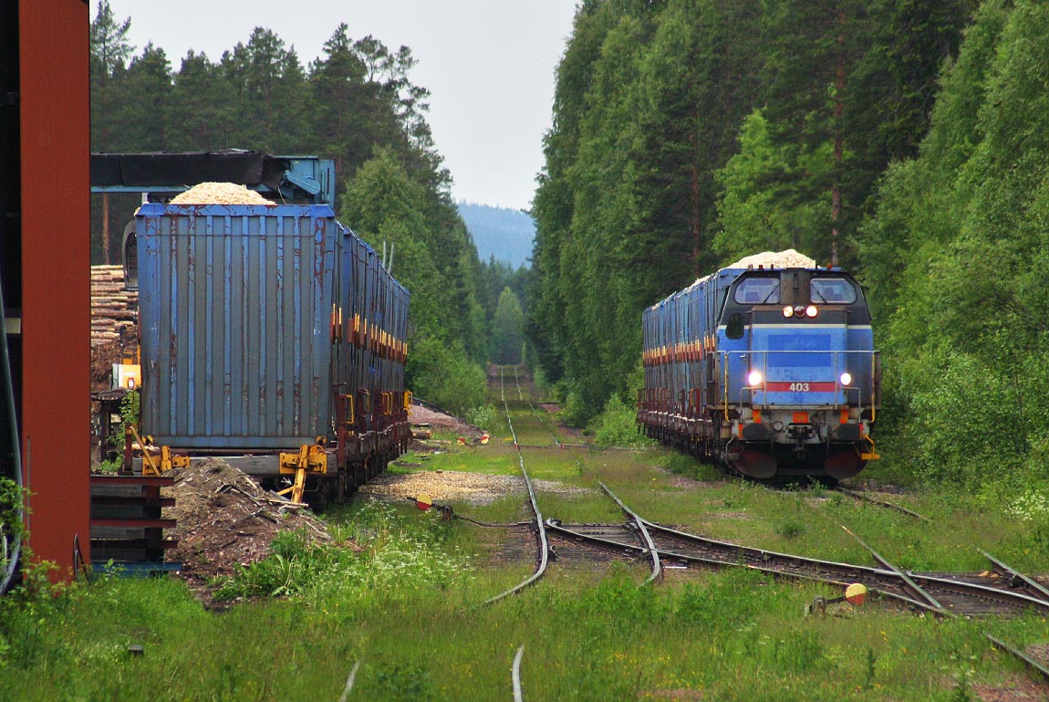 Bild: T44 403 med godståg i Blyberg 2003