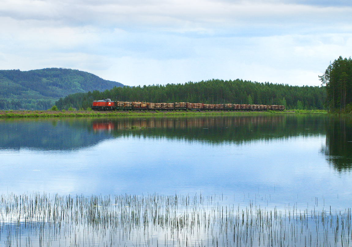 Bild: T43 med timmertåg vid Spjutmosjön 2003