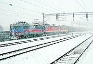 Bild: Rc4 1139 med två 1043-lok i transport i Malmö 28 december 2001. Klicka för större bild.