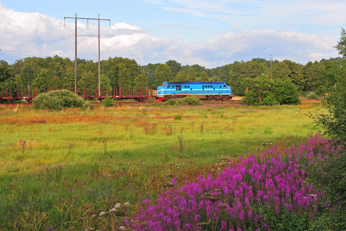 Bild: Ett TMX-lok med godståg utanför Hässleholm 18 juli 2005.