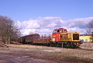 Bild: Österlentåg T21 100  med godståg i Tomelilla 1994
